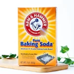Arm & Hammer Pure Baking Soda ( Big )- 907g