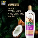 Parachute Advansed Coconut & Argan Damage Repair Shampoo - 340ml - Image 3