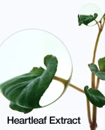 Anua Heartleaf 77% Soothing Toner - 250ml - Image 13