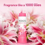 Ponds Dreamflower Fragrant Talc 400Gm - Image 4