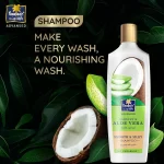 Parachute Advansed Coconut & Aloe Vera Smooth Silky Shampoo - 340ml - Image 3