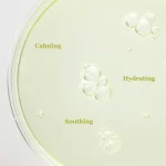 Beauty of Joseon - Calming Serum Green Tea + Panthenol - 30ml - Image 6