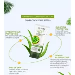 Dr.Rashel Aloe Vera Sun Cream SPF 50+ - 60g - Image 6