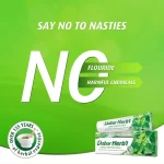 Dabur Herbal Basil Oral Protection Toothpaste With Tooth Brush Free - 150g - Image 4