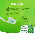 Dabur Herbal Basil Oral Protection Toothpaste With Tooth Brush Free - 150g - Image 5