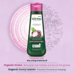 Kesh King Ayurvedic Herbal Onion Shampoo - 300ml - Image 5