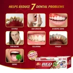 Dabur Red Ayurvedic Toothpaste With Tooth Brush Free - 200g - Image 4