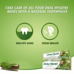 Dabur Herbal Neem Toothpaste With Tooth Brush Free - 150g - Image 3