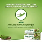 Dabur Herbal Neem Toothpaste With Tooth Brush Free - 150g - Image 4