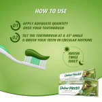 Dabur Herbal Neem Toothpaste With Tooth Brush Free - 150g - Image 6