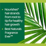 Palmolive Shampoo and Conditioner Natural COMPLETE REPAIR (180 ml)Red - Image 4