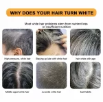 EELHOE Black Soap Grey Coverage Shampoo Bar - 50g - Image 6