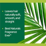 Palmolive Naturals Shampoo and Conditioner Fashion Girl 180ml - Image 3