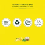 Dabur Vatika Dandruff Guard Shampoo 400ml + 200ml - Image 5