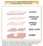 Dr.Rashel 24K Gold Radiance & Anti-Aging Eye Serum - 30ml - Image 3