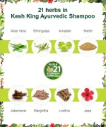 Emami Kesh King Ayurvedic Hairfall Expert Shampoo - 340ml - Image 4