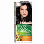 Garnier Color Naturals 1 Black Noir Hair Color