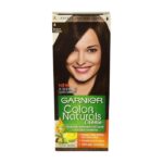 Garnier Color Naturals 4 Brown Chatain Hair Color