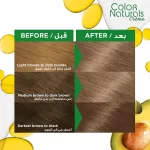 Garnier Color Naturals 7.11 Deep Ashy Blonde - Image 2