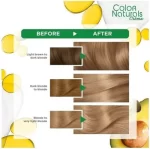 Garnier Color Naturals 8.11 Deep Ashy Light Blonde - Image 4