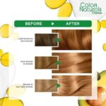 Garnier Color Naturals Creme 7.3 Hazel Blond - Image 2
