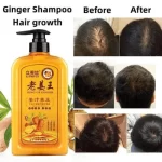 Li Mei Si King Of Ginger Shampoo - 500ml - Image 2