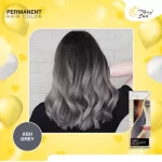 MerrySun Permanent Hair Color - Ash Grey