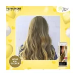 MerrySun Permanent Hair Color - Light Ash Blonde - Image 2