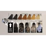 MerrySun Permanent Hair Color - Light Ash Blonde - Image 5