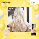 MerrySun Permanent Hair Color - Super Decoloring