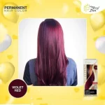 MerrySun Permanent Hair Color - Violet Red