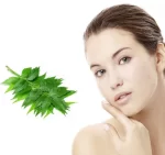 Neem Face Pack With Tulsi 100g - Elina - Image 2