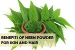 Neem Face Pack With Tulsi 100g - Elina - Image 4