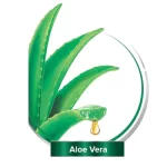 Palmolive Naturals Ultra Smooth Conditioner - 180ml - Image 4