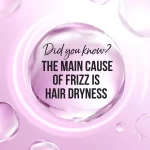 Pantene Pro-V Goodbye Summer Frizz Shampoo - 400ml - Image 3