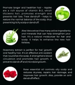 SISO 5 Minute Magic Hair Color 20g Pack of 10 Natural Black 1.0 - Image 3