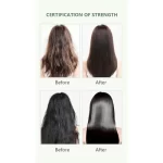 Tree City Aloe Vera Anti Dandruff Shampoo - 500ml - Image 7