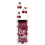 Ushas Lip Ink Moisturizing Lip Gloss - 4.4ml - Image 6