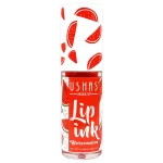 Ushas Lip Ink Moisturizing Lip Gloss - 4.4ml - Image 5