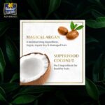 Parachute advansed coconut & argan damage repair shampoo - 340ml - Image 3