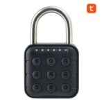 Password padlock