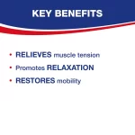 Lion Capsicum Pain Relief Plaster - 12 × 18 Cm - Image 3