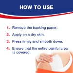 Lion Capsicum Pain Relief Plaster - 12 × 18 Cm - Image 4