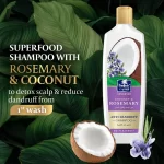 Parachute Advansed Coconut & Rosemary Anti Dandruff Shampoo - 340ml - Image 4