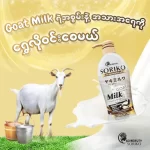 Soriko Goat Milk Overnight Body Lotion - 500ml - Image 2