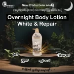 Soriko Goat Milk Overnight Body Lotion - 500ml - Image 3