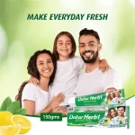 Dabur Herbal Intense Fresh Gel Toothpaste With Tooth Brush Free - 150g - Image 2