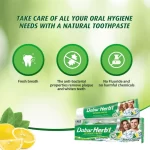 Dabur Herbal Intense Fresh Gel Toothpaste With Tooth Brush Free - 150g - Image 3
