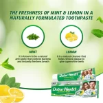 Dabur Herbal Intense Fresh Gel Toothpaste With Tooth Brush Free - 150g - Image 4
