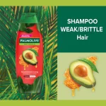 Palmolive Shampoo + Conditioner Avocado Oil & Honey - 180ml × 2 Pcs - Image 2